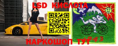 apvp Гусев