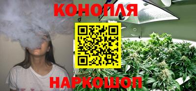 apvp Гусев